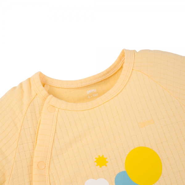 Set 2 bodysuit rayon chống muỗi đùi Animo VD0825028 (0-12M,Vàng-xanh,TT06)