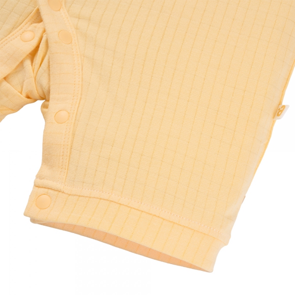 Set 2 bodysuit rayon chống muỗi đùi Animo VD0825028 (0-12M,Vàng-xanh,TT06)