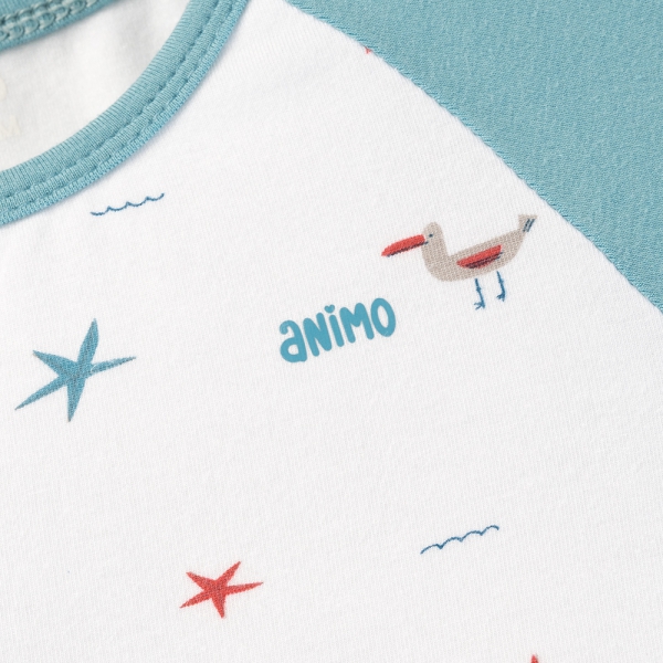 Set 2 Bodysuit kháng khuẩn Modal đùi Animo BMC0525030 (0-12M,Dương-trắng,DD06)