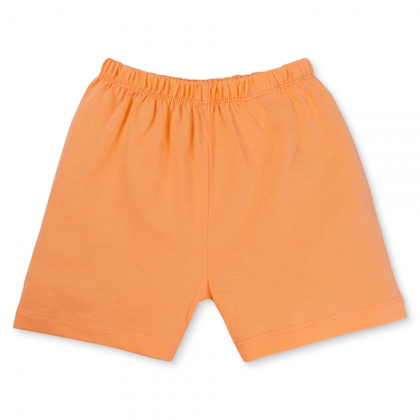 Bộ bé trai áo tay ngắn quần ngắn Animo easy (1-4Y) HN0725030