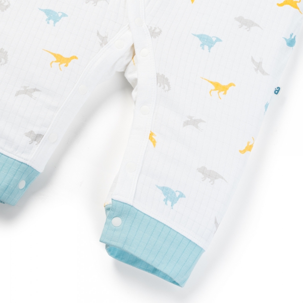 Set 2 bodysuit rayon chống muỗi dài Animo VD0825029 (0-12M,Lá-xanh,TT06)