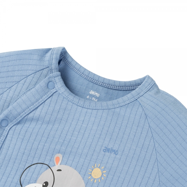 Set 2 bodysuit rayon chống muỗi đùi Animo VD0825027 (0-12M,Vàng-xanh,TT06)