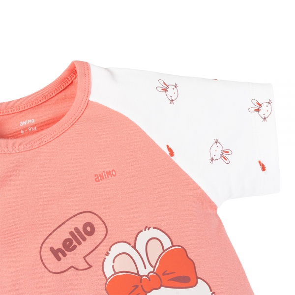 Set 2 Bodysuit kháng khuẩn Modal đùi Animo VD0725010 (0-3M,Dâu-trắng,TT06)