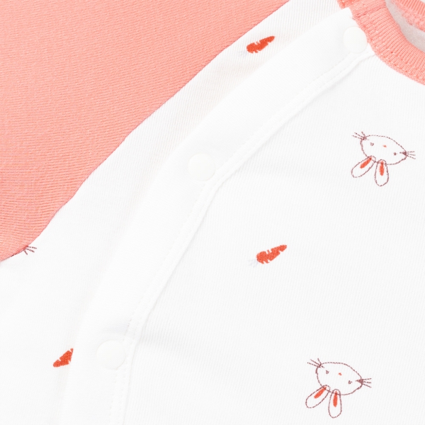 Set 2 Bodysuit kháng khuẩn Modal đùi Animo VD0725010 (0-3M,Dâu-trắng,TT06)