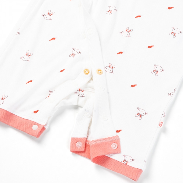 Set 2 Bodysuit kháng khuẩn Modal đùi Animo VD0725010 (0-3M,Dâu-trắng,TT06)