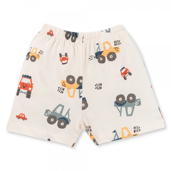 Bộ bé trai áo tay ngắn quần ngắn Animo easy(1-4Y) HN0925039