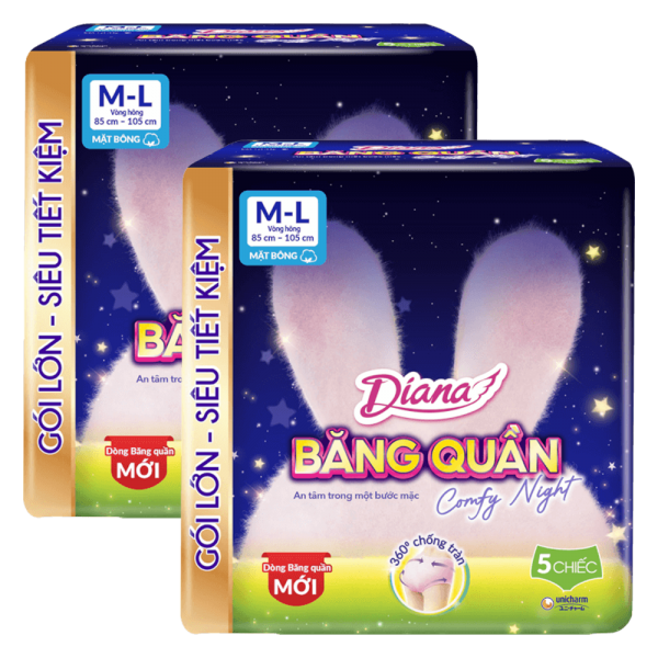 Combo 2 Băng vệ sinh quần Diana Comfy Night M/L (5 miếng)