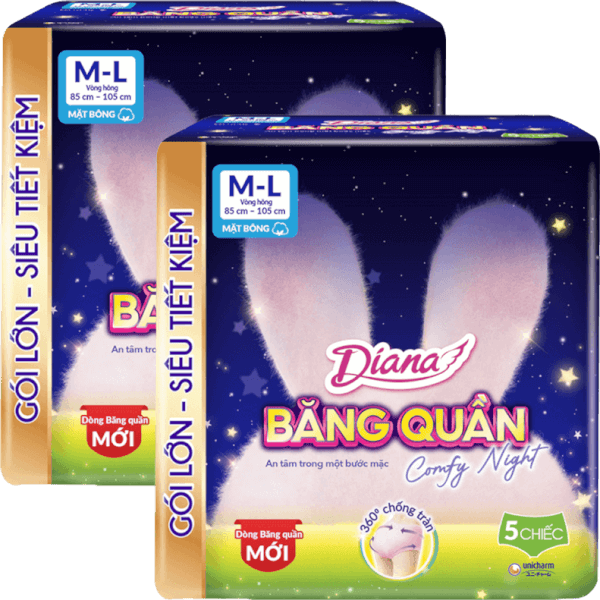 Combo 2 Băng vệ sinh quần Diana Comfy Night M/L (5 miếng)