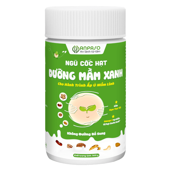 Ngũ cốc hạt Dưỡng mầm xanh Anpaso 500g