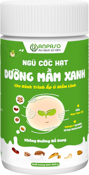 Ngũ cốc hạt Dưỡng mầm xanh Anpaso 500g