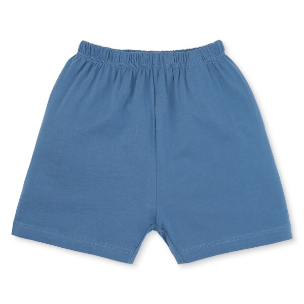 Bộ bé trai áo tay ngắn quần ngắn Animo easy (1-4Y) HN0525060