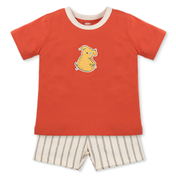 Bộ bé trai áo tay ngắn quần ngắn Animo easy(1-4Y) HN0925034