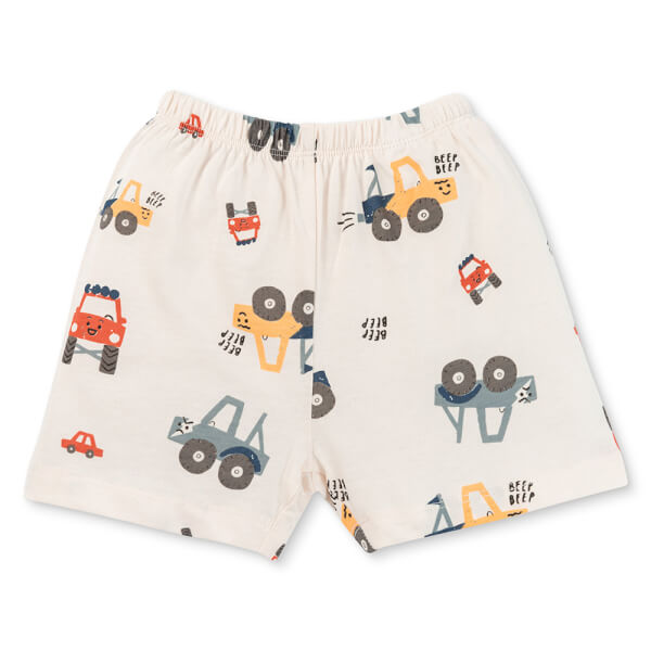 Bộ bé trai áo tay ngắn quần ngắn Animo easy(1-4Y) HN0925034