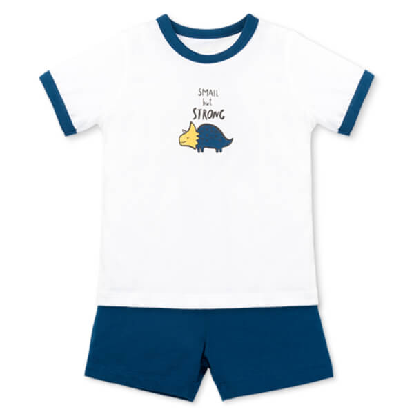 Bộ bé trai áo tay ngắn quần ngắn Animo easy (1-4Y) HN0925042