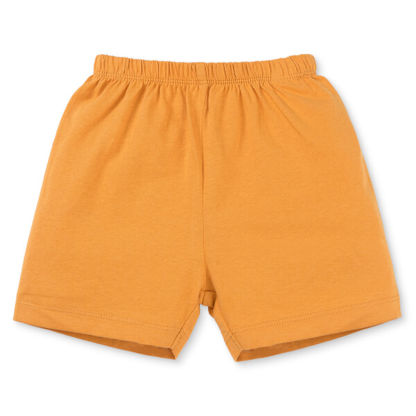 Bộ bé trai áo tay ngắn quần ngắn Animo easy (1-4Y) HN0925042