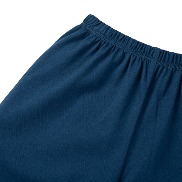 Bộ bé trai áo tay dài quần dài Animo easy (1-4Y) HN0925045