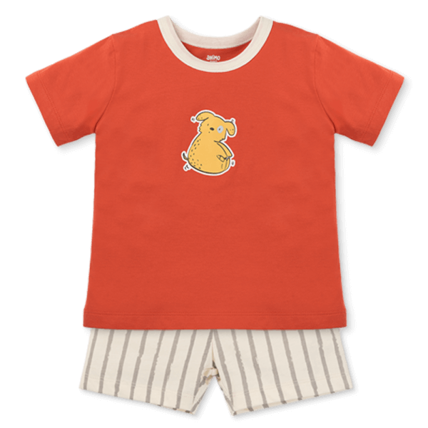 Bộ bé trai áo tay ngắn quần ngắn Animo easy(1-4Y) HN0925034