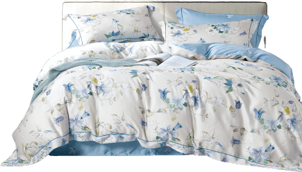 Bộ 6 món drap, áo gối và mền chần NIN Tencel 800 TC B2201_NH029 (180x200+35cm)