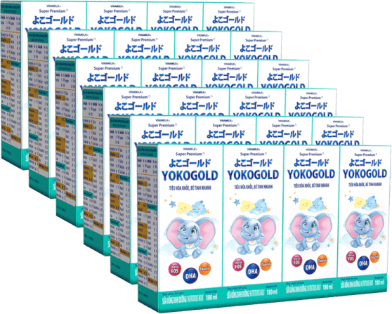 Combo 6 lốc Sữa uống dinh dưỡng Vinamilk Yoko Gold 180ml (Lốc 4 hộp)