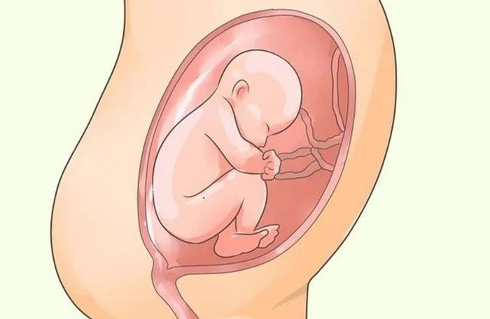 Làm gì khi thai không quay đầu? 5 mẹo dễ dàng, hiệu quả