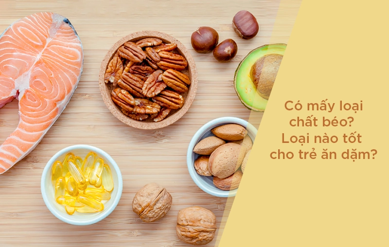 Có mấy loại chất béo? Loại nào tốt cho trẻ ăn dặm?