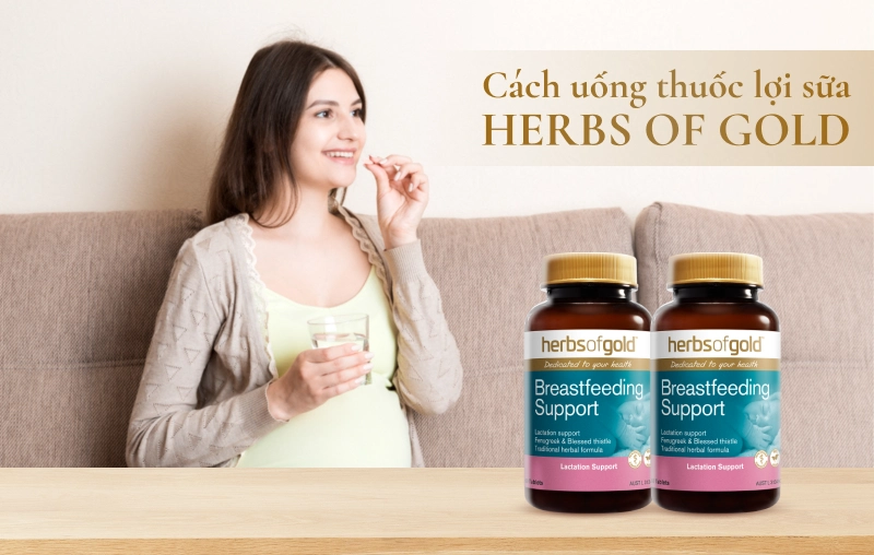 Viên uống lợi sữa Herbs Of Gold có tốt không? Cách uống & Thành phần