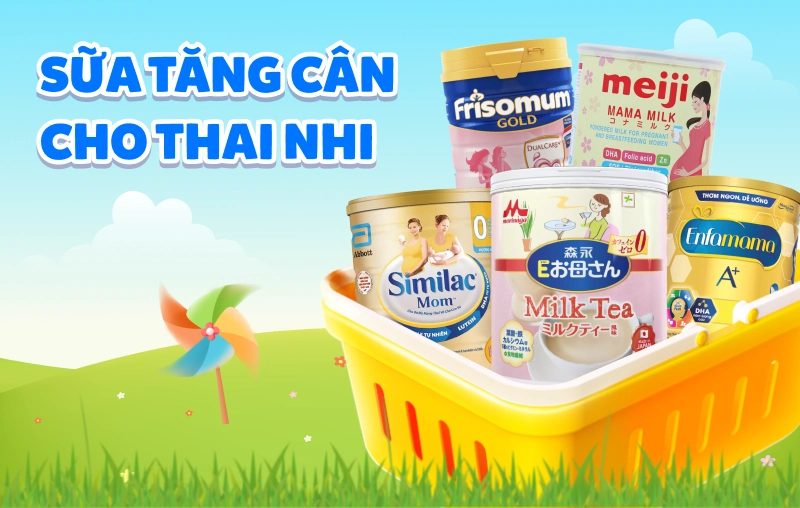 Top 5 sữa tăng cân cho thai nhi dành cho mẹ bầu