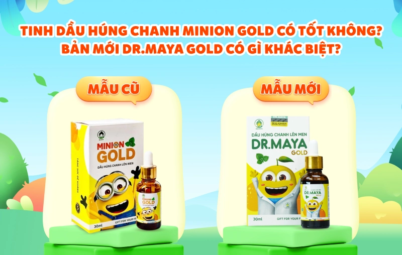 Tinh Dầu Húng Chanh Minion Gold Có Tốt Không? Bản Mới Dr.Maya Gold Có Gì Khác Biệt?