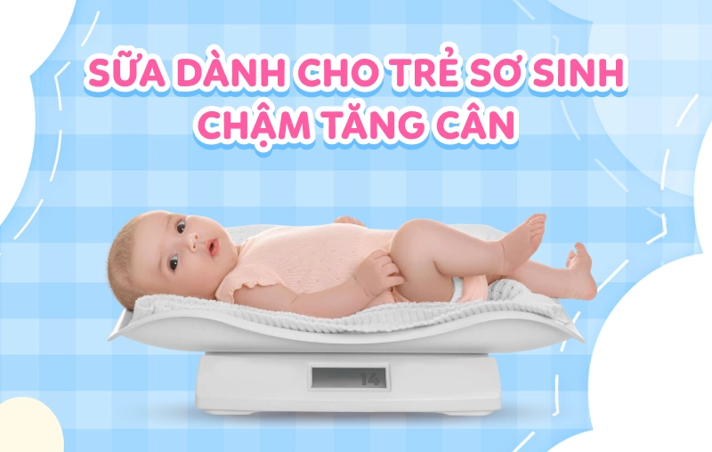 Top 8 sữa dành cho trẻ sơ sinh chậm tăng cân được tin dùng