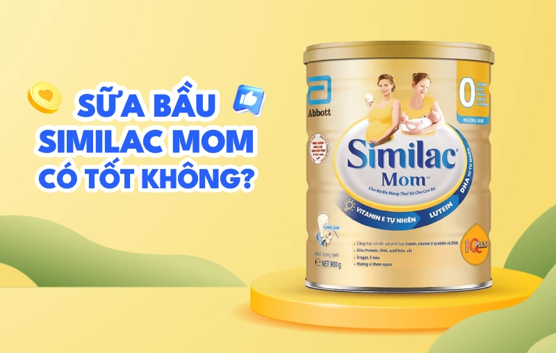 Sữa bầu Similac Mom có tốt không? Review chi tiết cho mẹ bầu