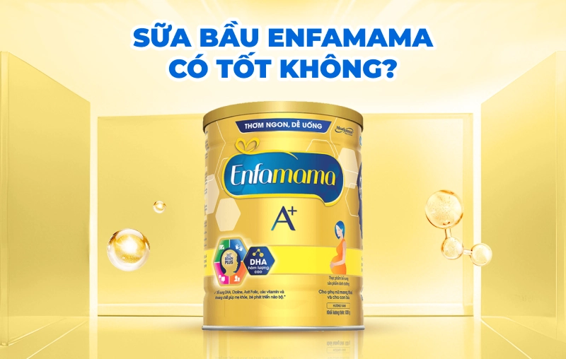 Sữa bầu Enfamama có tốt không? Review chi tiết cho mẹ