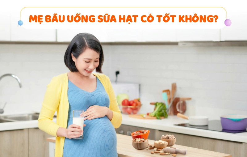 Mẹ bầu uống sữa hạt có tốt không? Top 6 sữa hạt cho bà bầu