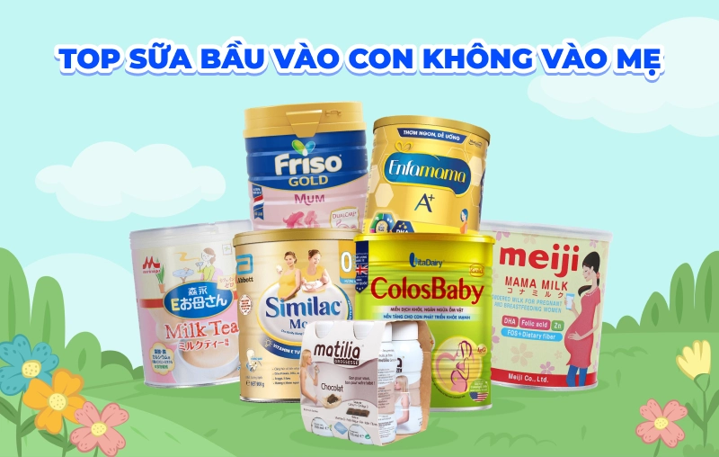 Gợi ý mẹ bầu top 8 sữa bầu vào con không vào mẹ đáng mua nhất hiện nay