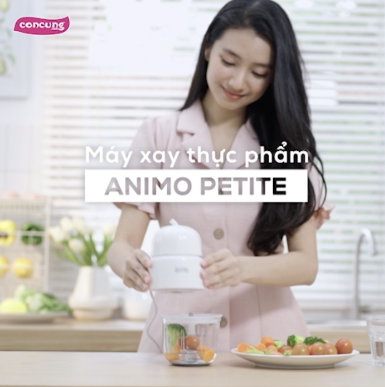 Máy xay đa năng Animo 0.3L (SW-MG8105)